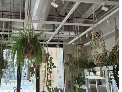 Healthy Restaurant for Sale - Downtown Dubai