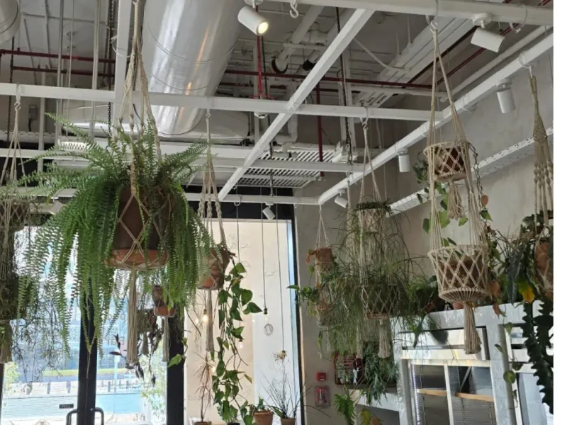 Healthy Restaurant for Sale - Downtown Dubai